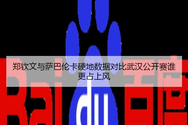 郑钦文与萨巴伦卡硬地数据对比武汉公开赛谁更占上风